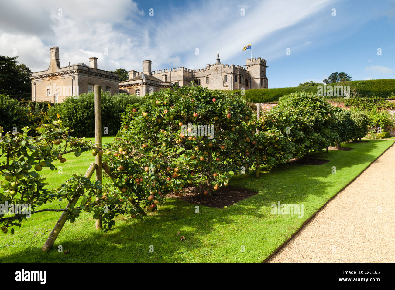 Mele maturate in crescita sulla spalliera viale di alberi da frutto entro il giardino murato di Rousham House in Oxfordshire, Inghilterra Foto Stock