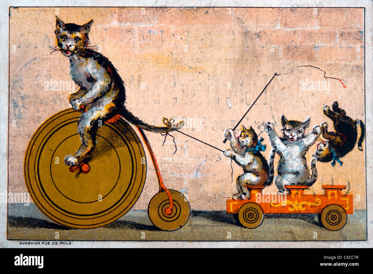 Cat Riding bicicletta Carro di traino con i gattini, Phelps, Dodge e Palmer Co., scheda commerciale, circa 1885 Foto Stock