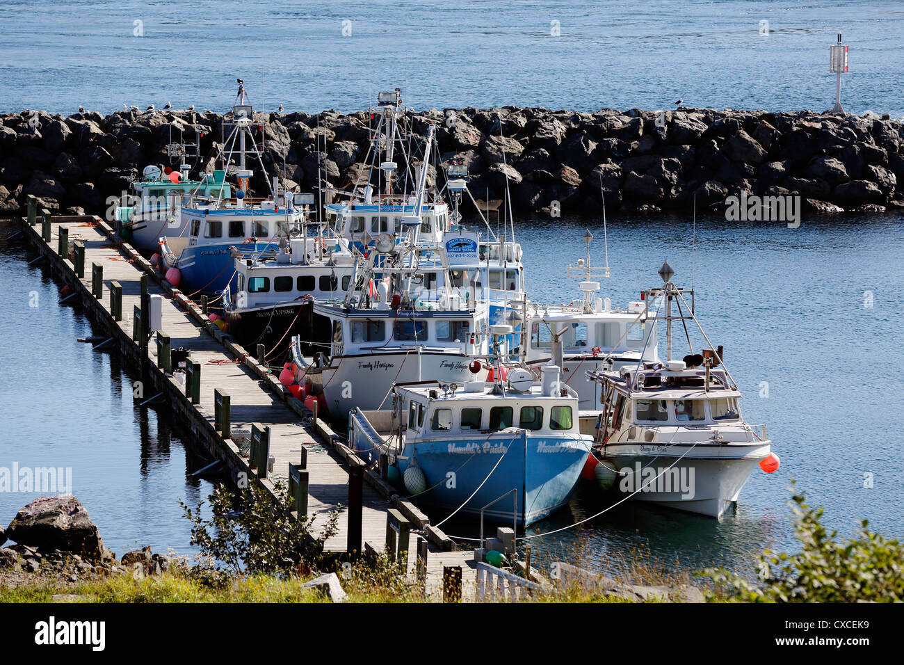 La flotta di pesca dietro un seawall, Digby collo, Nova Scotia Foto Stock