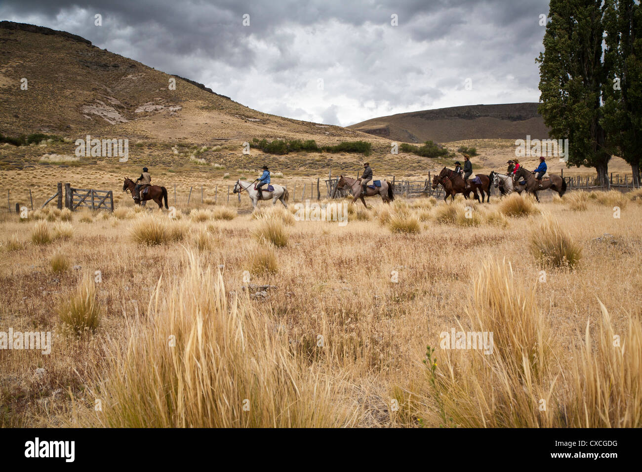 Equitazione, Patagonia, Argentina. Foto Stock