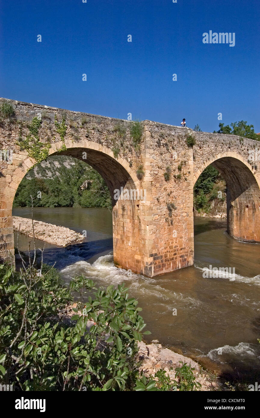 Ponte romano Pesquera de Ebro Burgos Castilla Leon Spagna Foto Stock