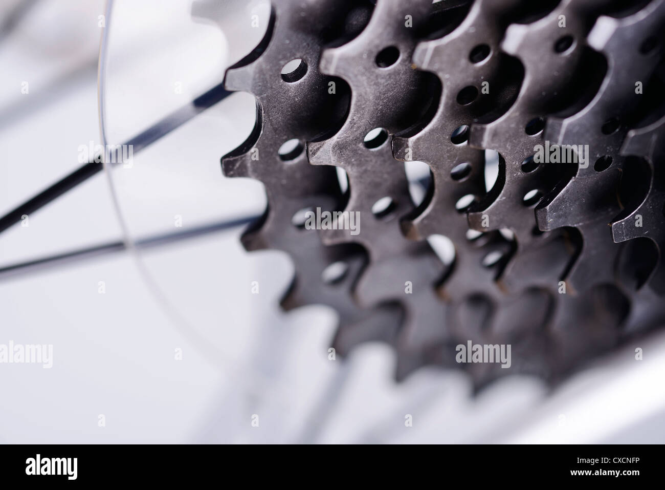 Close up dettaglio di una bicicletta ingranaggio posteriore ruota libera Foto Stock