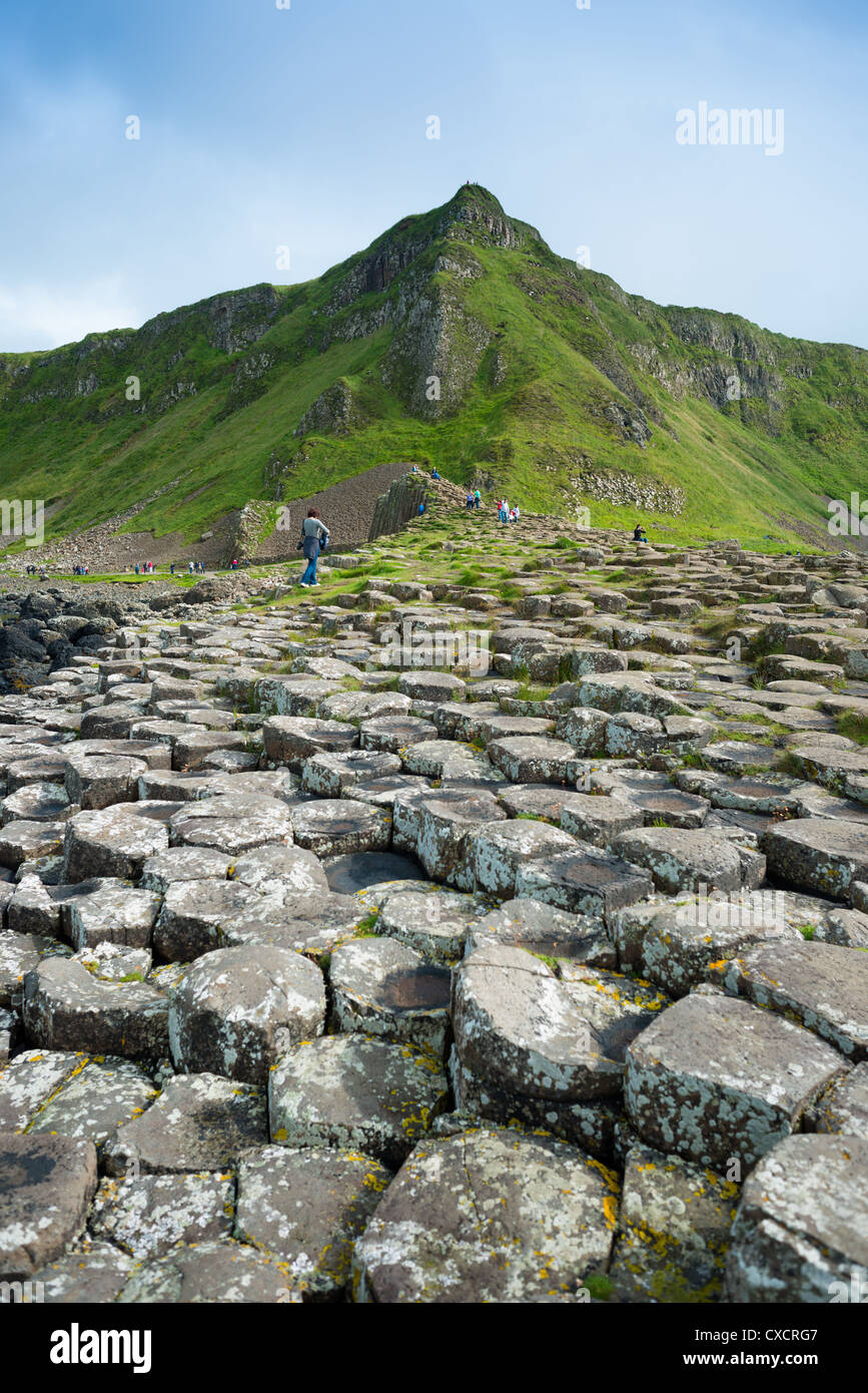 Giants Causeway, County Antrim, Irlanda del Nord, Regno Unito Foto Stock