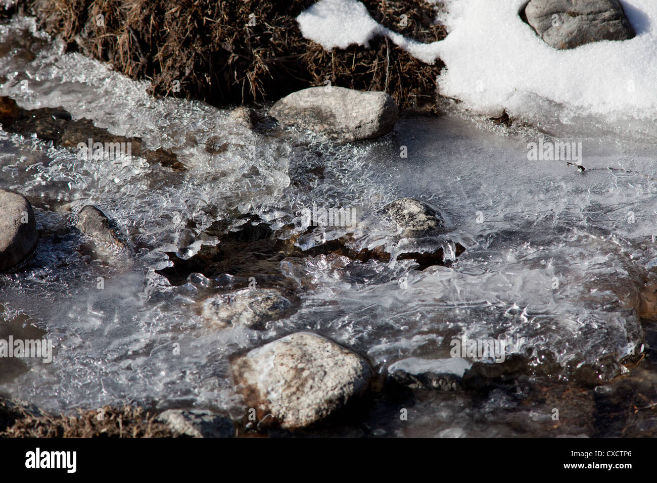 Dettaglio del punto di fusione del ghiaccio su pietre e erba, Nepal Foto Stock