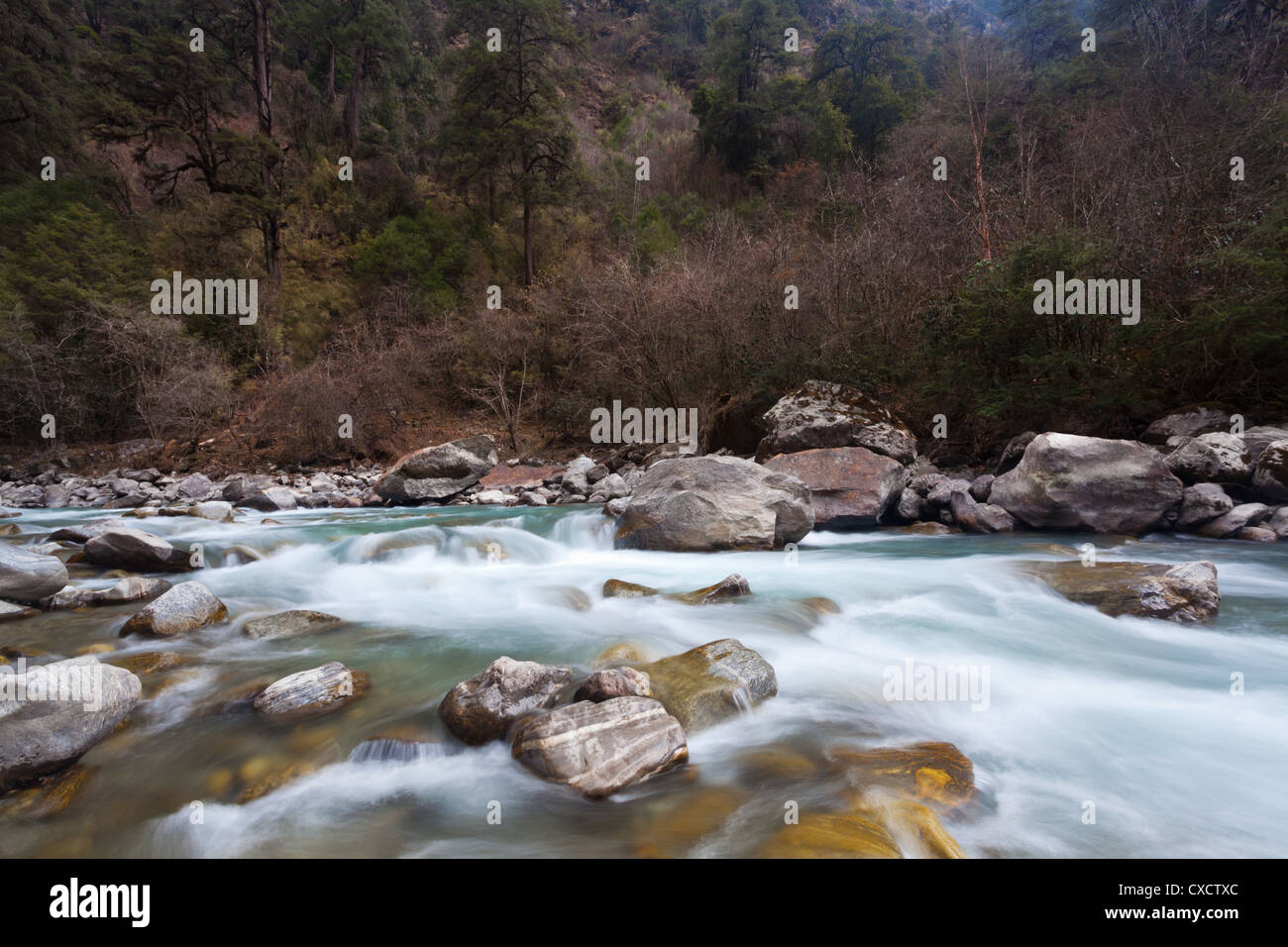 Pulire il fiume di montagna che scorre attraverso la valle di Langtang, Nepal Foto Stock
