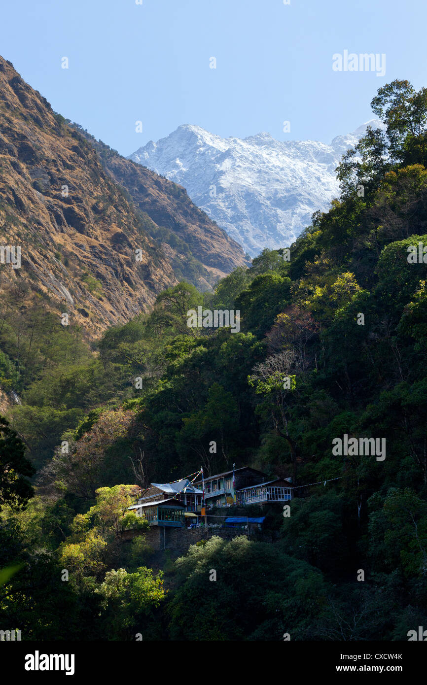 Vista di Pahiro, Langtang valley, Nepal Foto Stock