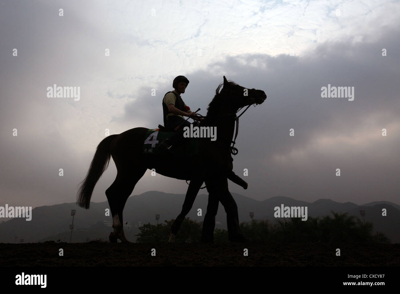 Hong Kong, silhouette di cavallo e cavaliere Foto Stock