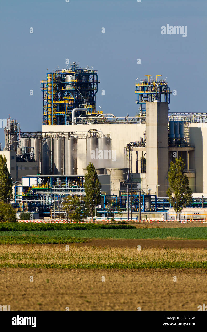 Raffineria di petrolio (industria pesante complessi / impianto) Foto Stock