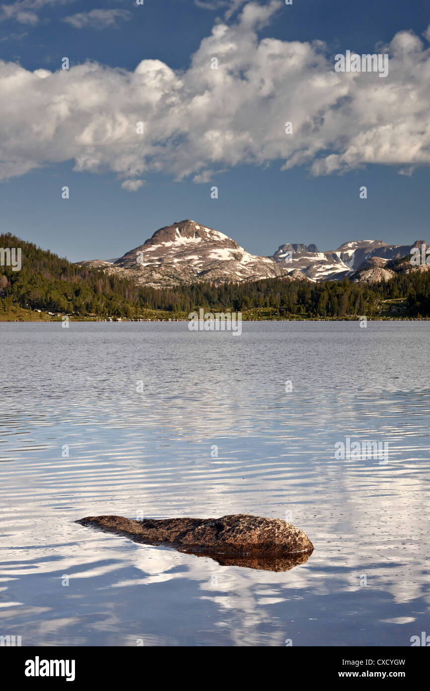 Isola del Lago, Shoshone National Forest, Wyoming negli Stati Uniti d'America, America del Nord Foto Stock