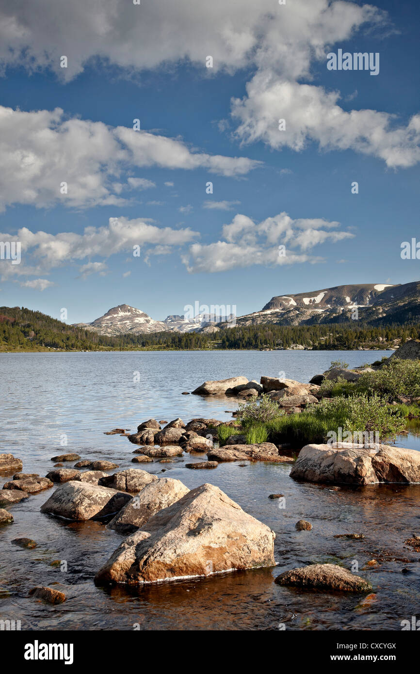 Isola del Lago, Shoshone National Forest, Wyoming negli Stati Uniti d'America, America del Nord Foto Stock