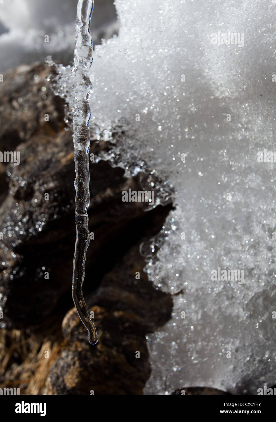 La fusione del ghiaccio in Himalaya, Langtang National Park, il Nepal Foto Stock