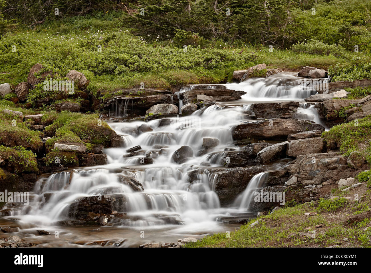 Cade su Logan Creek, il Parco Nazionale di Glacier, Montana, Stati Uniti d'America, America del Nord Foto Stock