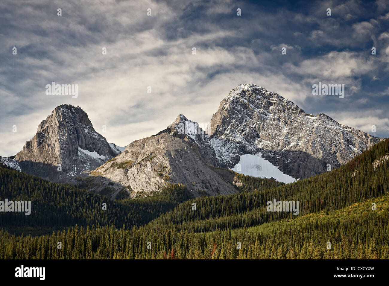 Smutts Creek, picco del Commonwealth sulla sinistra, suini centro di coda e di montaggio destra Birdwood, Peter Lougheed Parco Provinciale, Alberta Foto Stock