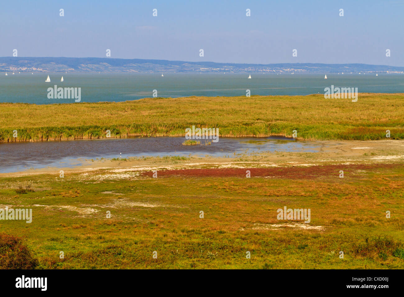 Nastro a lamelle paesaggio nel Parco Nazionale (lago di Neusiedl Seewinkel /), frontiera austro-ungarico Foto Stock