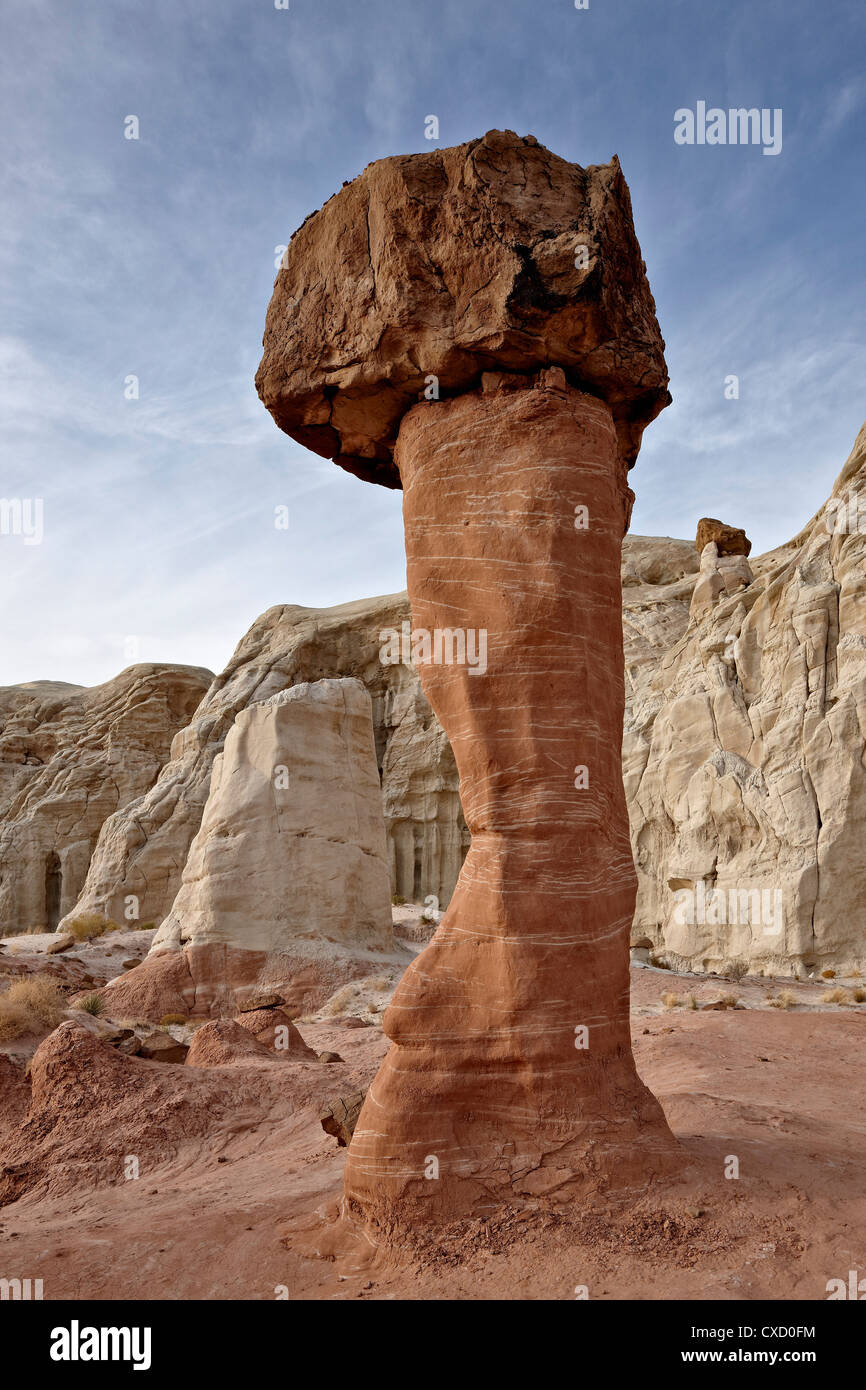 Toadstool hoodoo, Grand Staircase-Escalante monumento nazionale, Utah, Stati Uniti d'America, America del Nord Foto Stock