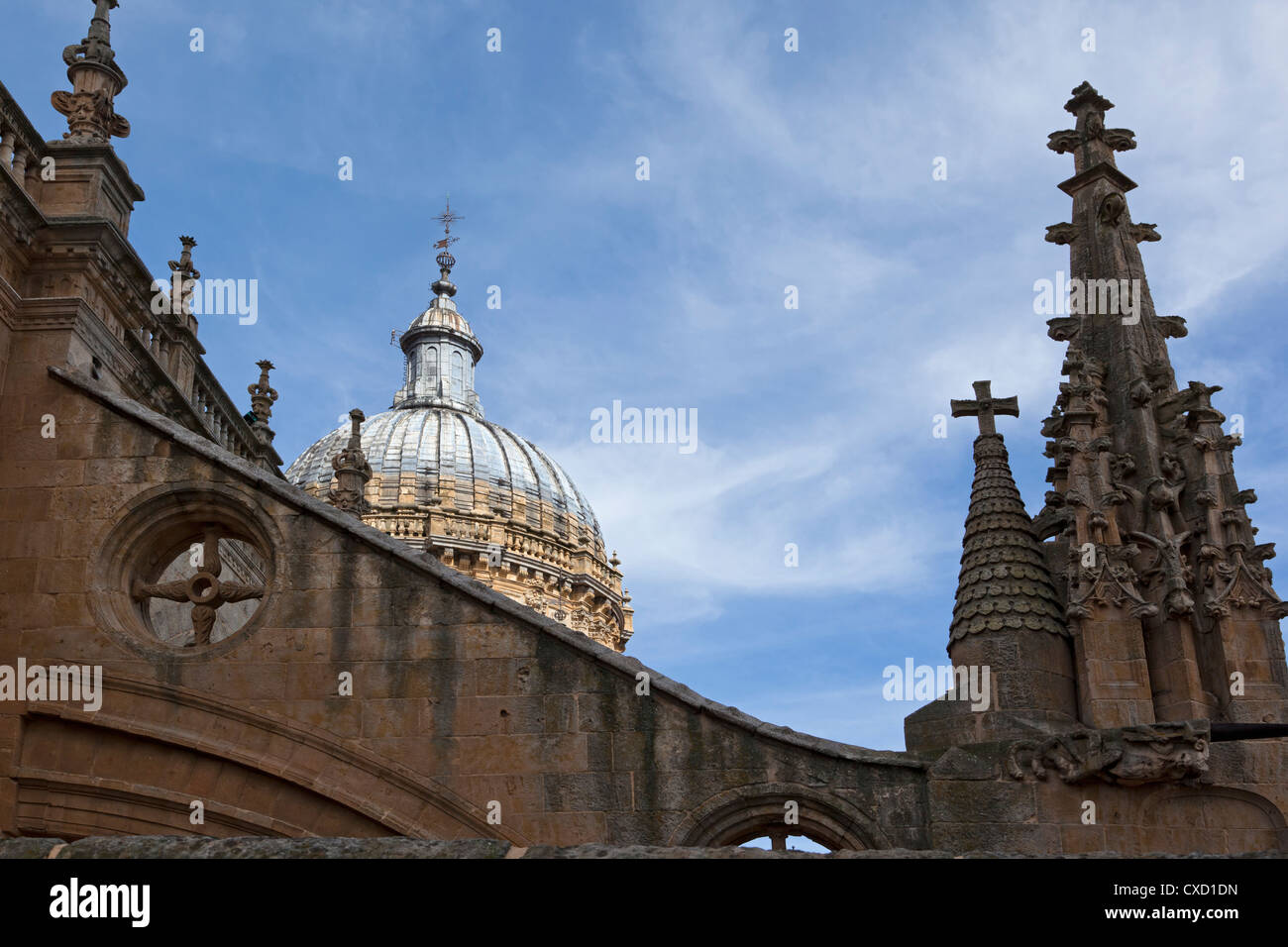 Vista della vecchia cattedrale Duomo gotico con architettura di primo piano, città monumentale, Salamanca, Castilla y Leon, Spagna Foto Stock