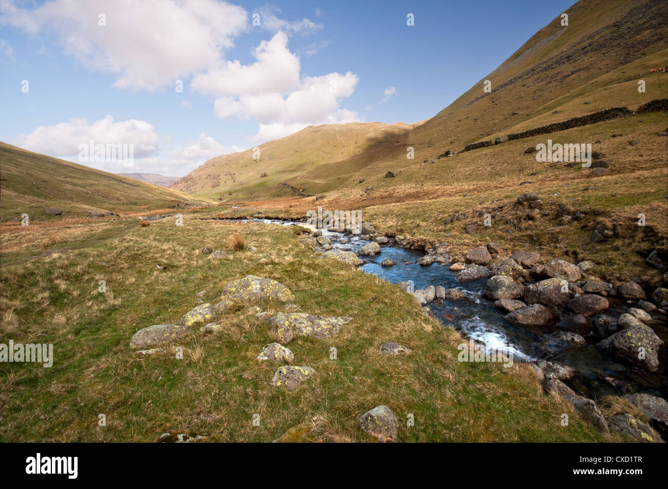 Beck di pascolo in esecuzione attraverso il Fondo di pascolo accoccolato tra il grigio e il greppo Hartsop Dodd nel Lake District inglese. Foto Stock