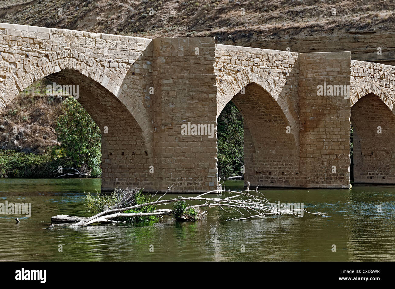 Vecchio stile gotico medievale Ponte Briñas nel villaggio di Haro, La Rioja, Spagna, Europa Foto Stock