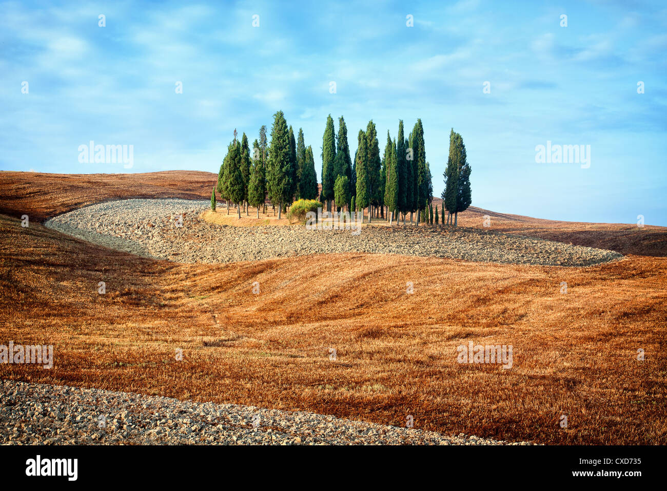 Vista panoramica del tipico paesaggio toscano Foto Stock