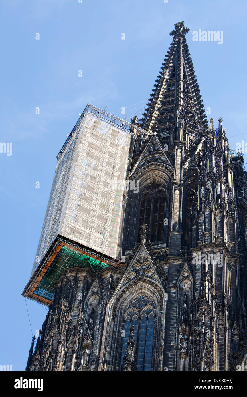 Ponteggio sospeso per lavori di ristrutturazione, torre nord della Cattedrale di Colonia, Germania, Europa Foto Stock
