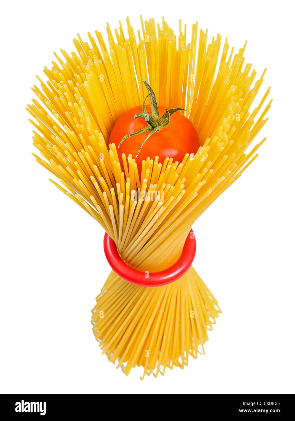 Spaghetti in piedi sul bianco in modo decorativo Foto Stock