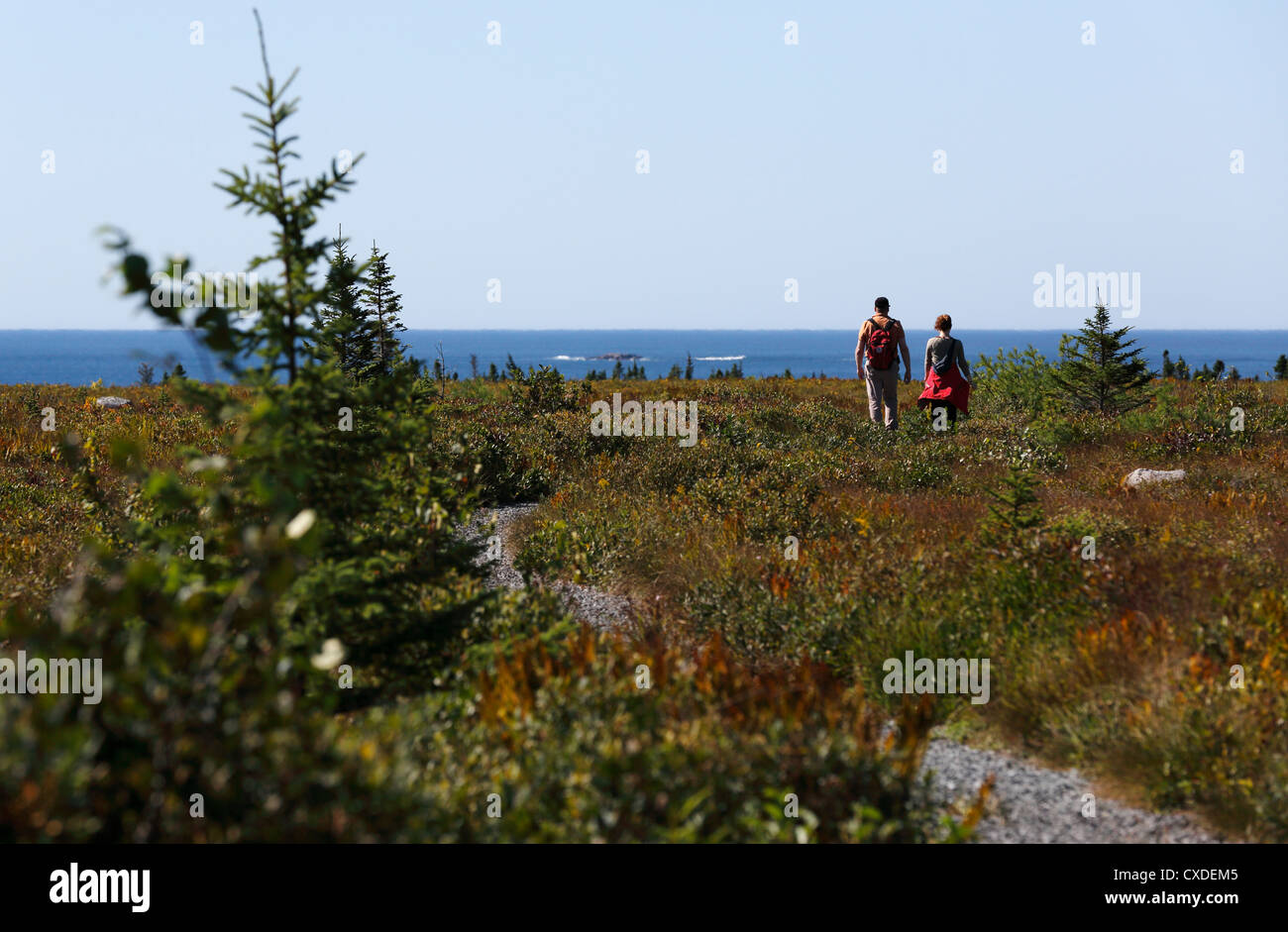 Un paio di passeggiate su un sentiero in Kejimkujik Seaside Park, Nova Scotia, Canada Foto Stock