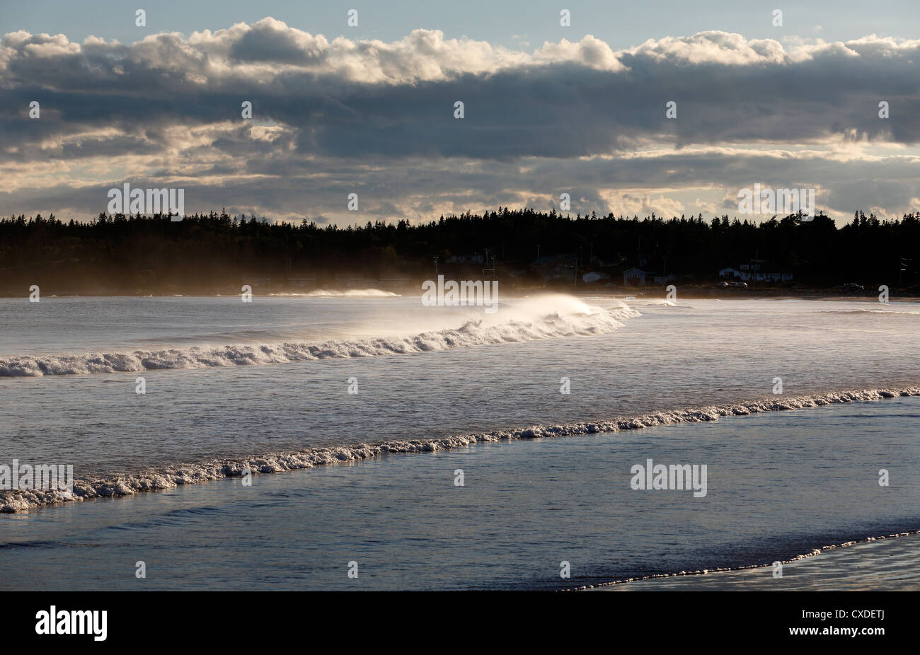 Spiaggia a caccia di punto, Nova Scotia Foto Stock