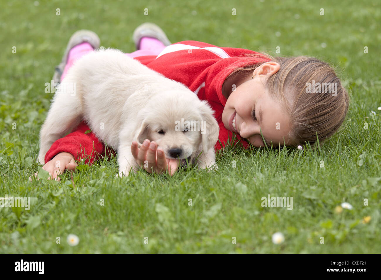 Bambina con un Golden Retriever cucciolo Foto Stock