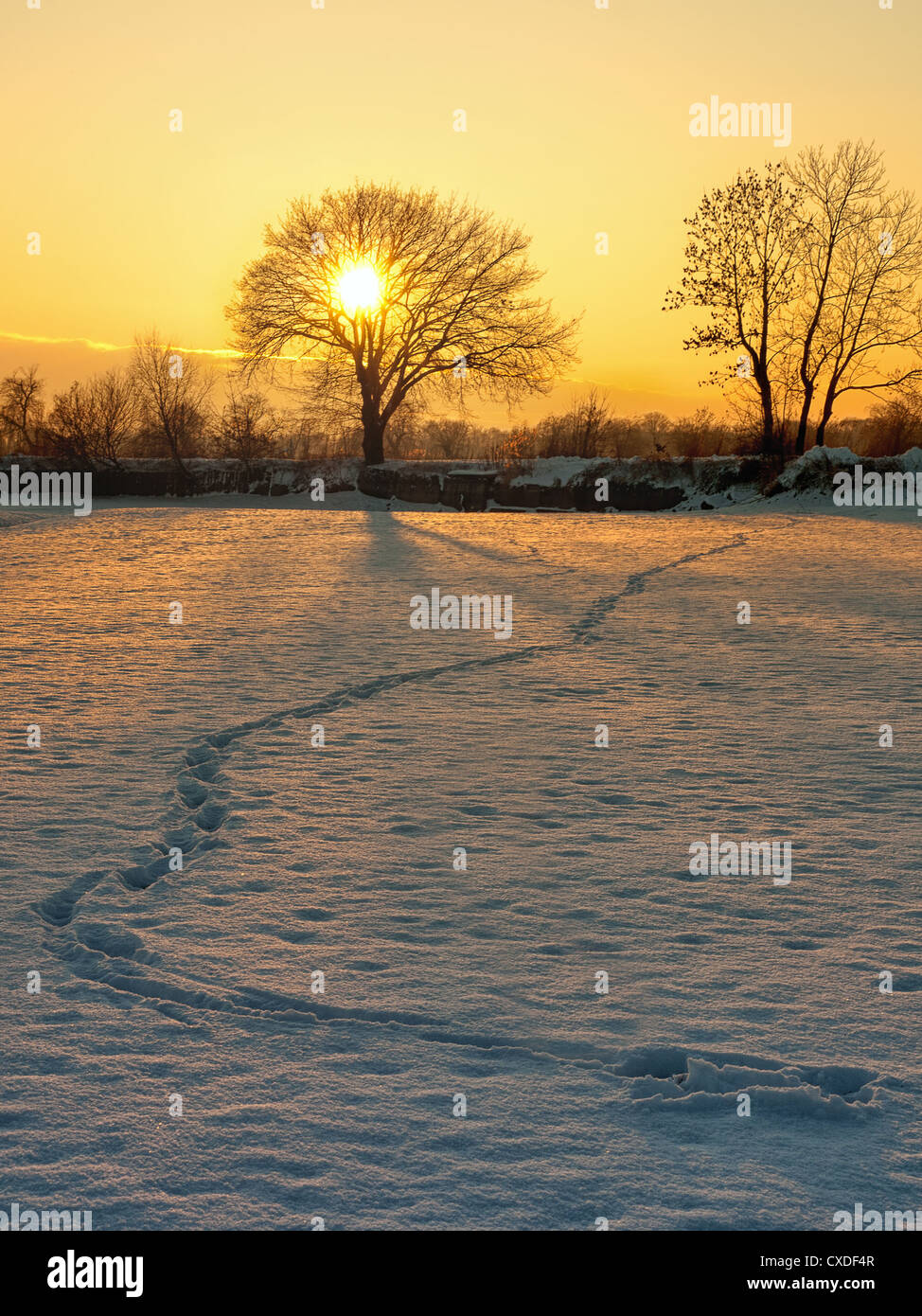 Splendido tramonto in inverno sul lago ghiacciato Foto Stock