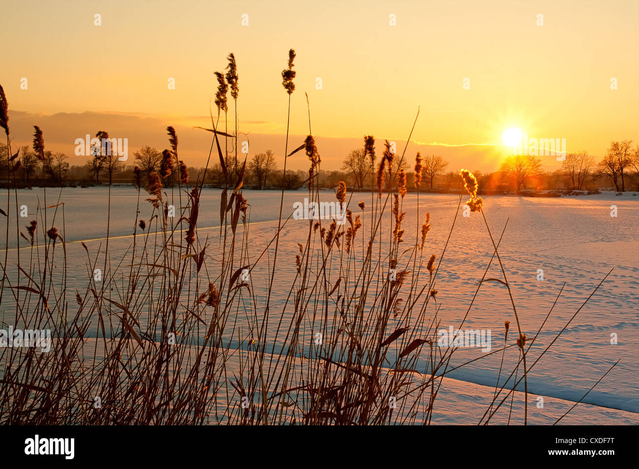 Splendido tramonto in inverno sul lago ghiacciato Foto Stock