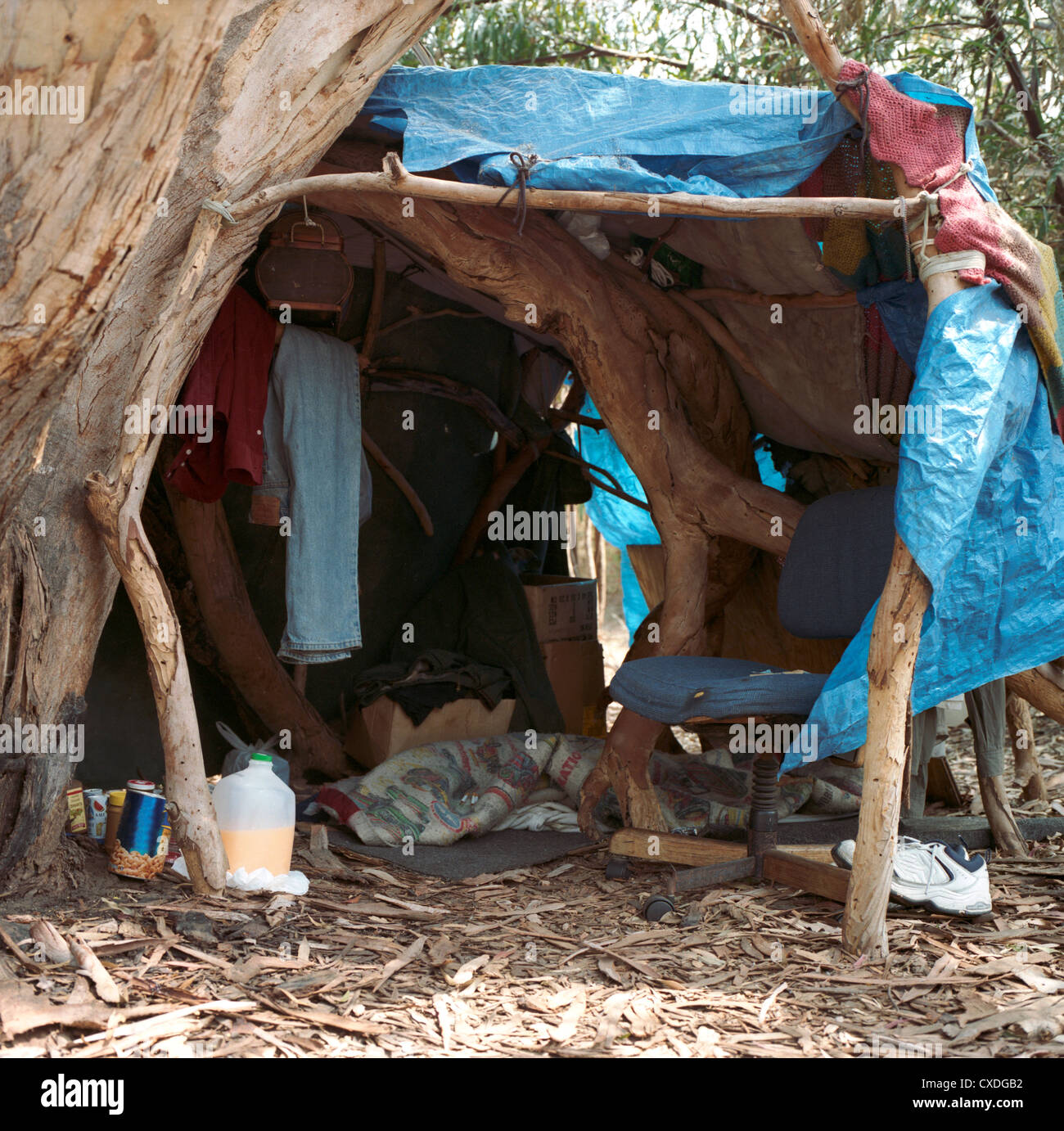 Senzatetto tenda accanto ad albero Foto Stock