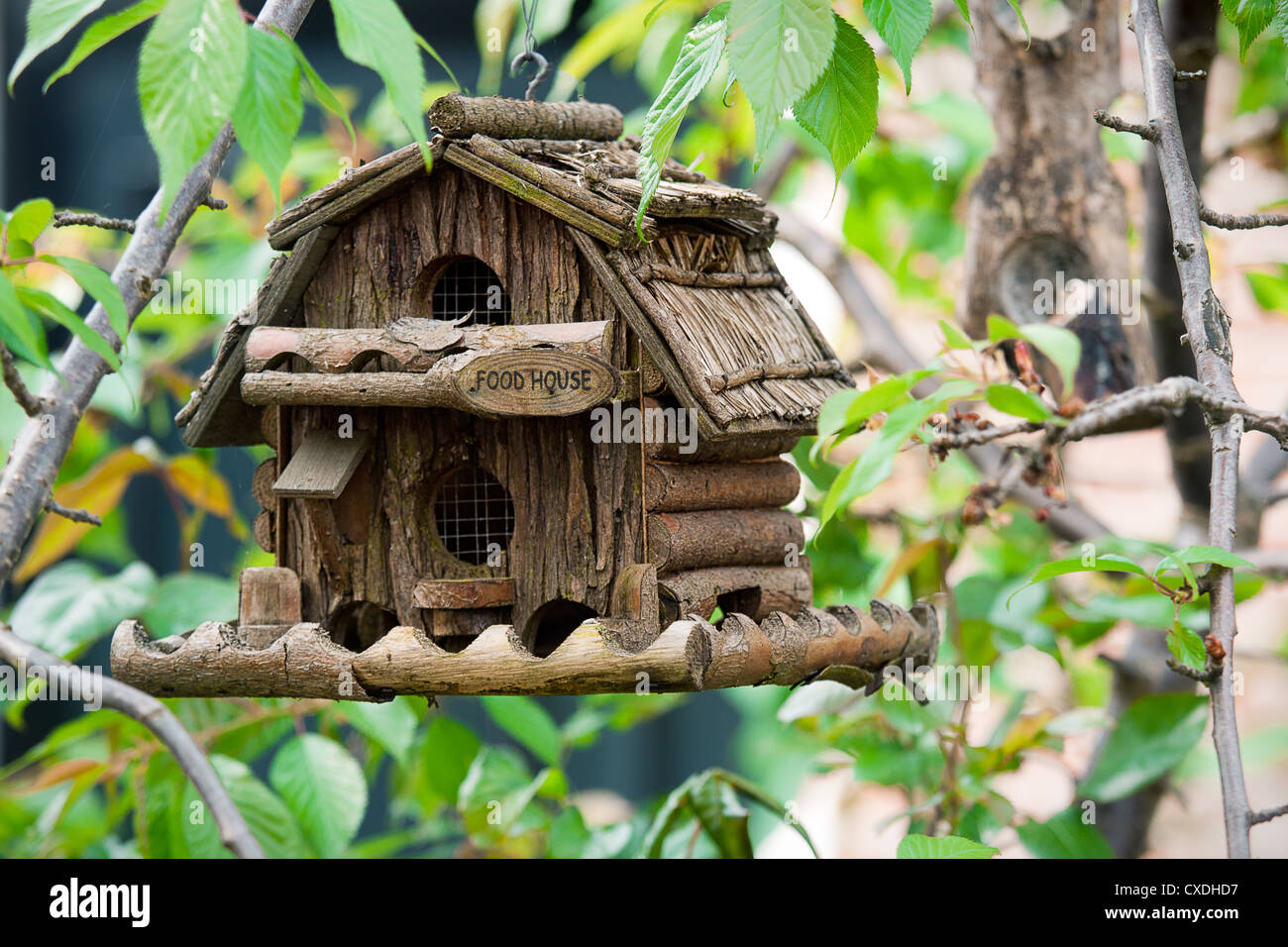 Bellezza handmade creative casella degli uccelli Foto Stock