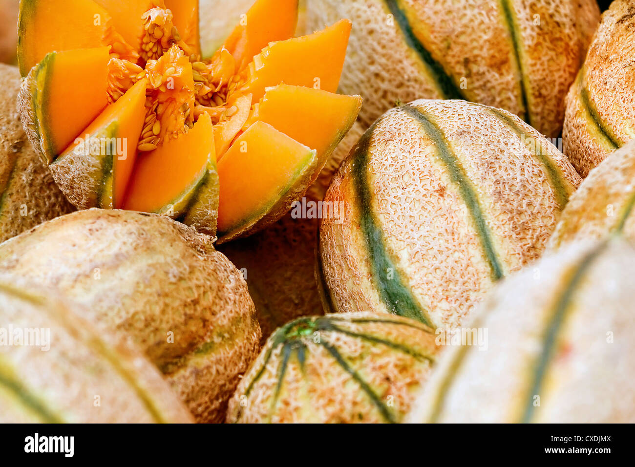 Honeydew Melon Foto Stock