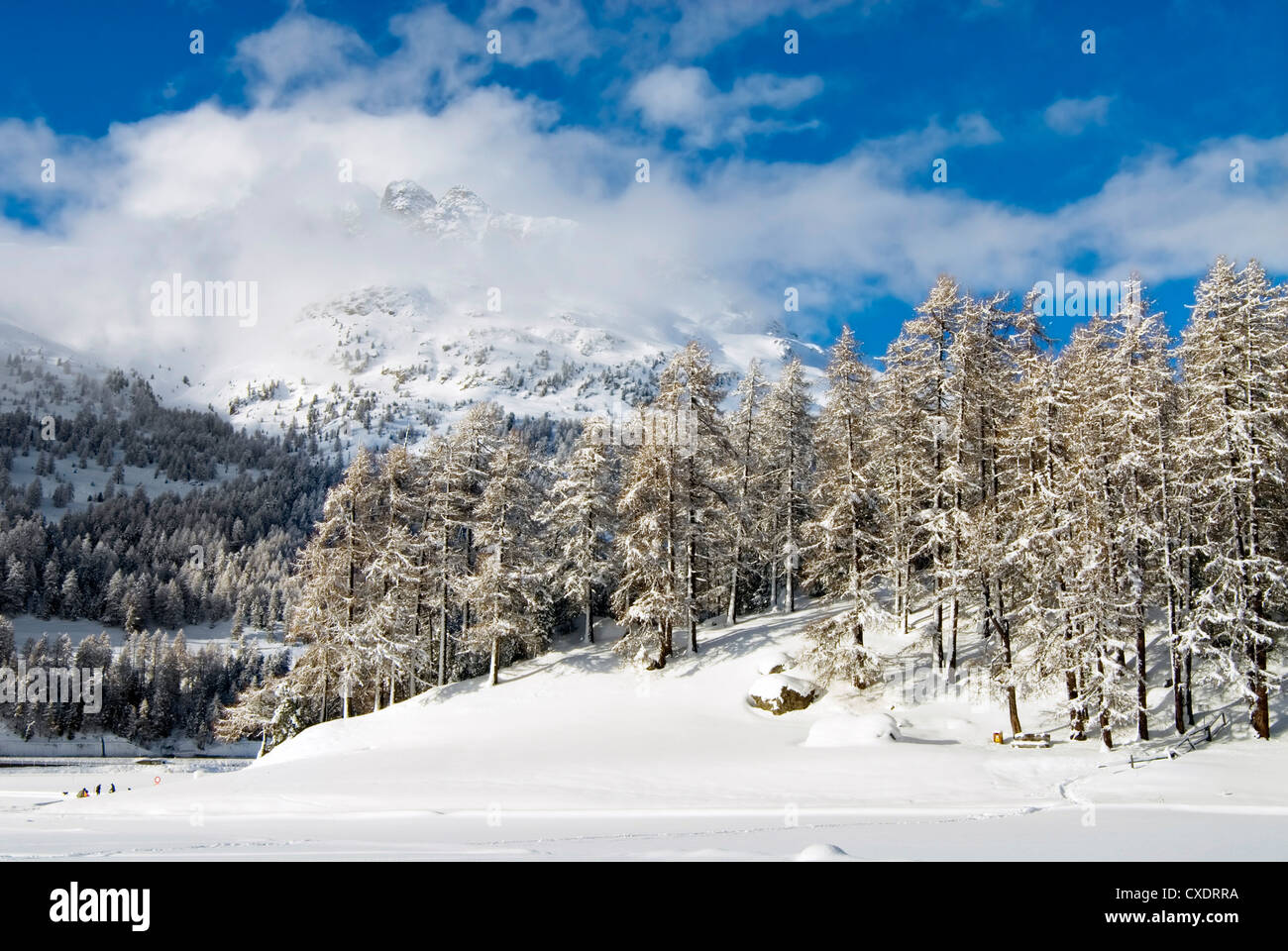 Winterlandscape al lago di Silvaplana con Piz Nair in background, Engadina, Svizzera Foto Stock