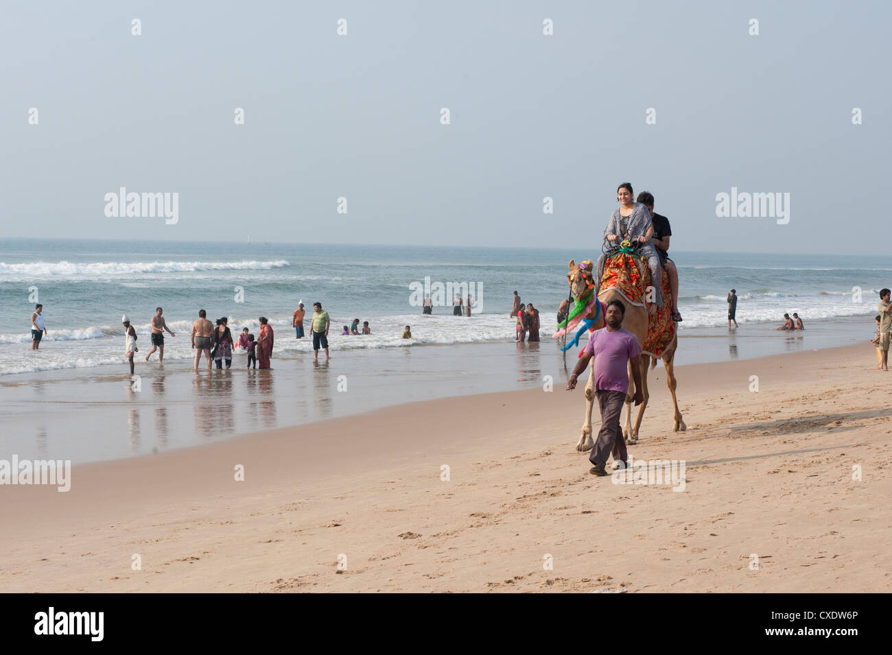 Indian i turisti sulla spiaggia di Puri, giovane famiglia alla corsa in cammello lungo la spiaggia, Puri, Baia del Bengala, Orissa, India, Asia Foto Stock