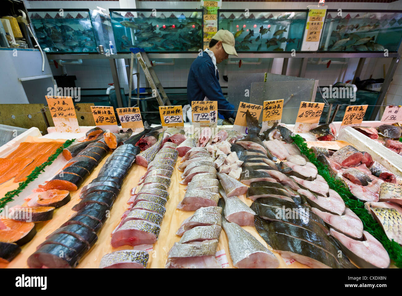 Il pesce per la vendita, Chinatown, Toronto, Ontario, Canada, America del Nord Foto Stock