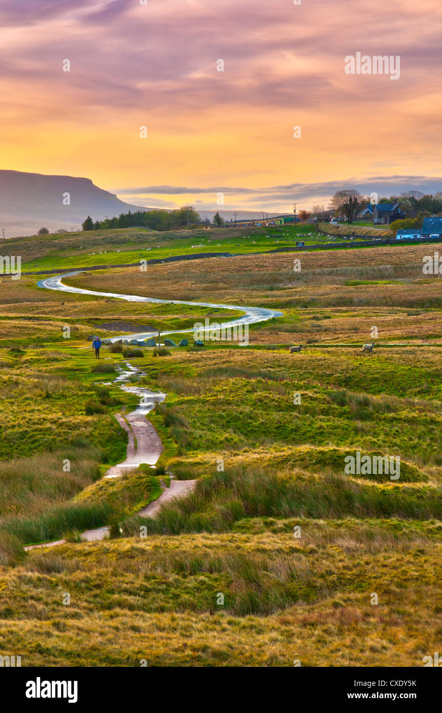Pen-y-Ghent uno Yorkshire Tre Cime di Lavaredo, Ribble Valley, Yorkshire Dales National Park, North Yorkshire, Inghilterra, Regno Unito Foto Stock