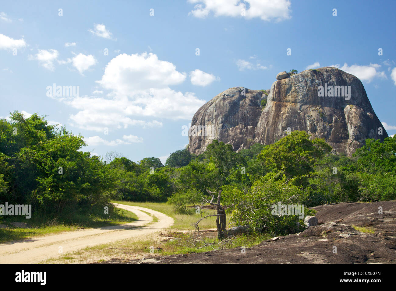 Elephant rock da pista forestale, Yala National Park, Sri Lanka, Asia Foto Stock