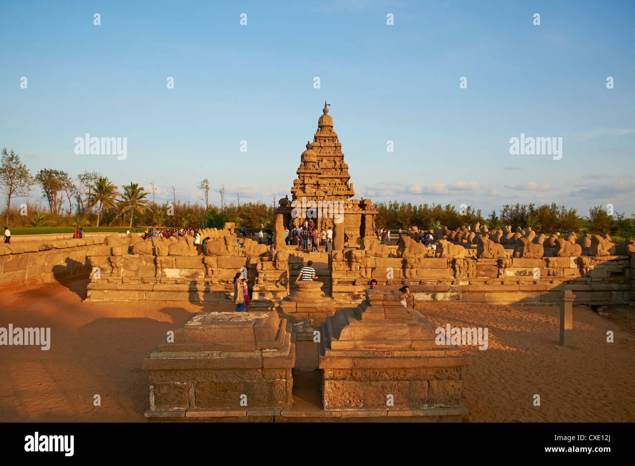 Il Tempio Shore, Mamallapuram (Mahabalipuram), il Sito Patrimonio Mondiale dell'UNESCO, Tamil Nadu, India, Asia Foto Stock