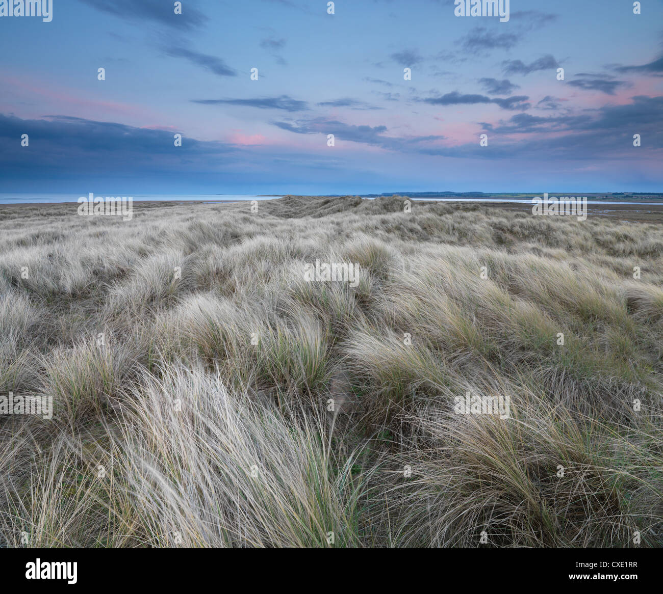 Twilight sulle dune a Holme Riserva Naturale, Norfolk, Inghilterra Foto Stock