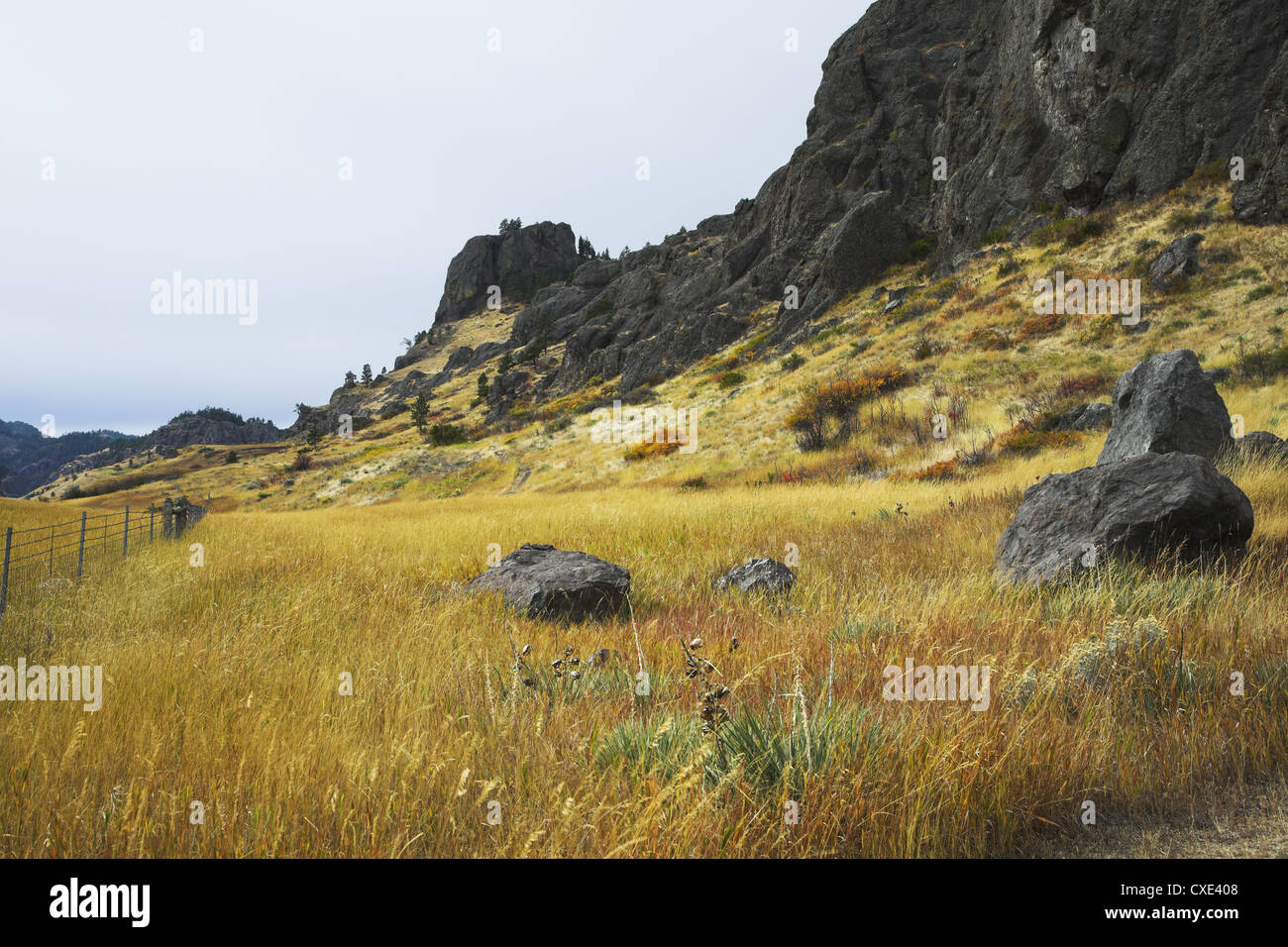 Sentiero sulle colline piatte del Missouri. Foto Stock