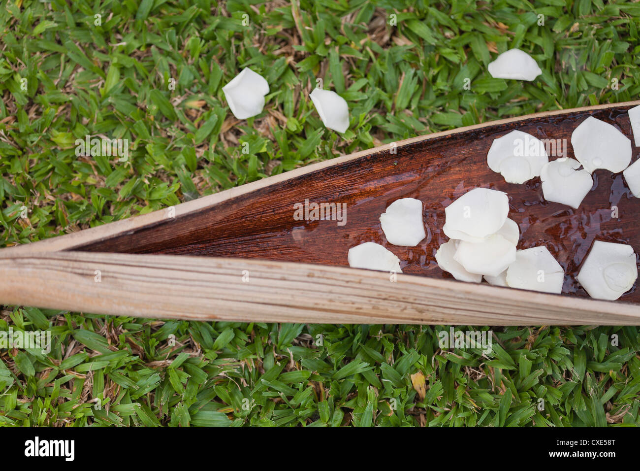 White petali di fiori galleggiante sull'acqua nella tazza di foglie di palma e disperse in aria Foto Stock