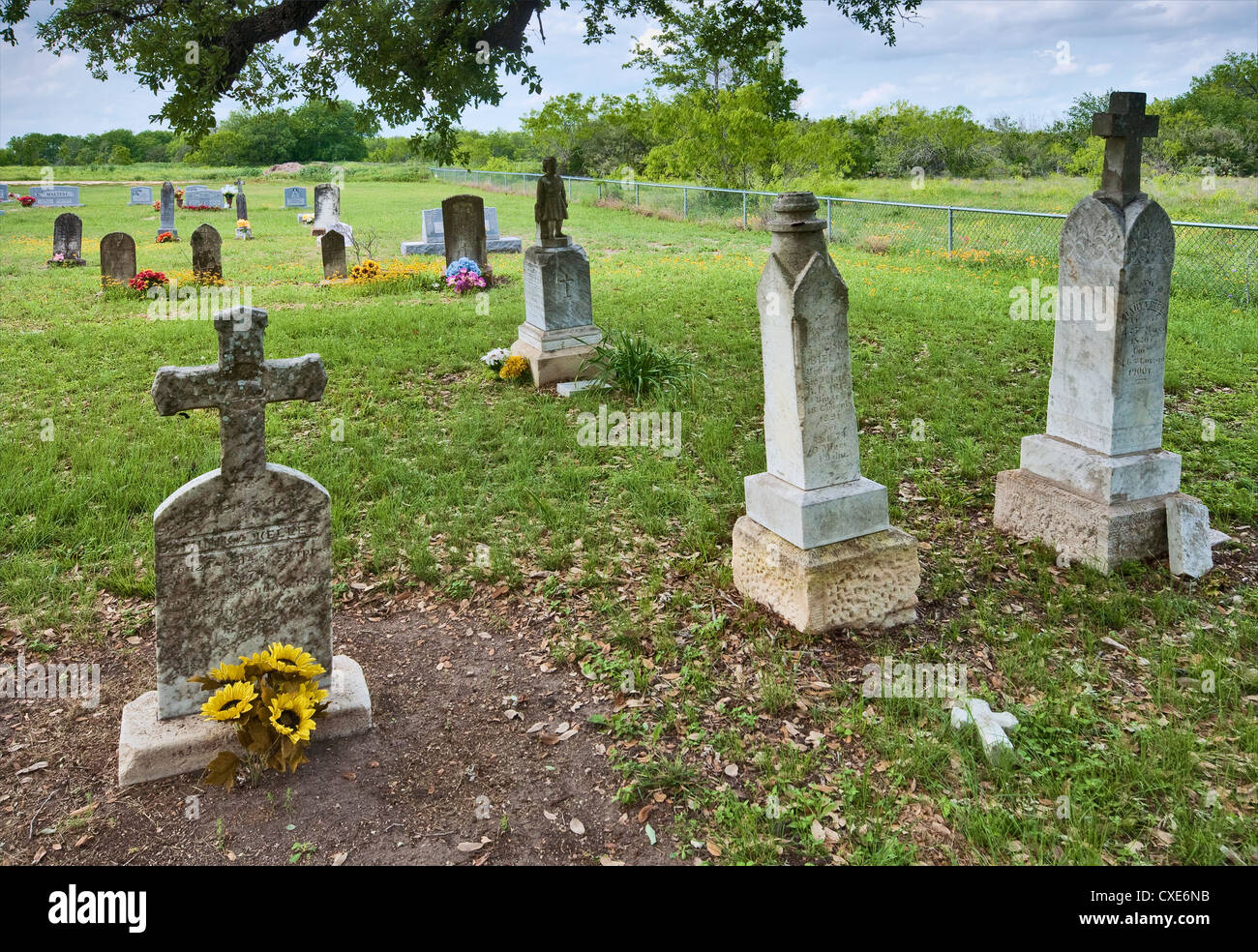 Xix secolo lapidi con iscrizioni polacco presso il cimitero di panna Maria, Texas, il più antico insediamento polacco negli Stati Uniti Foto Stock