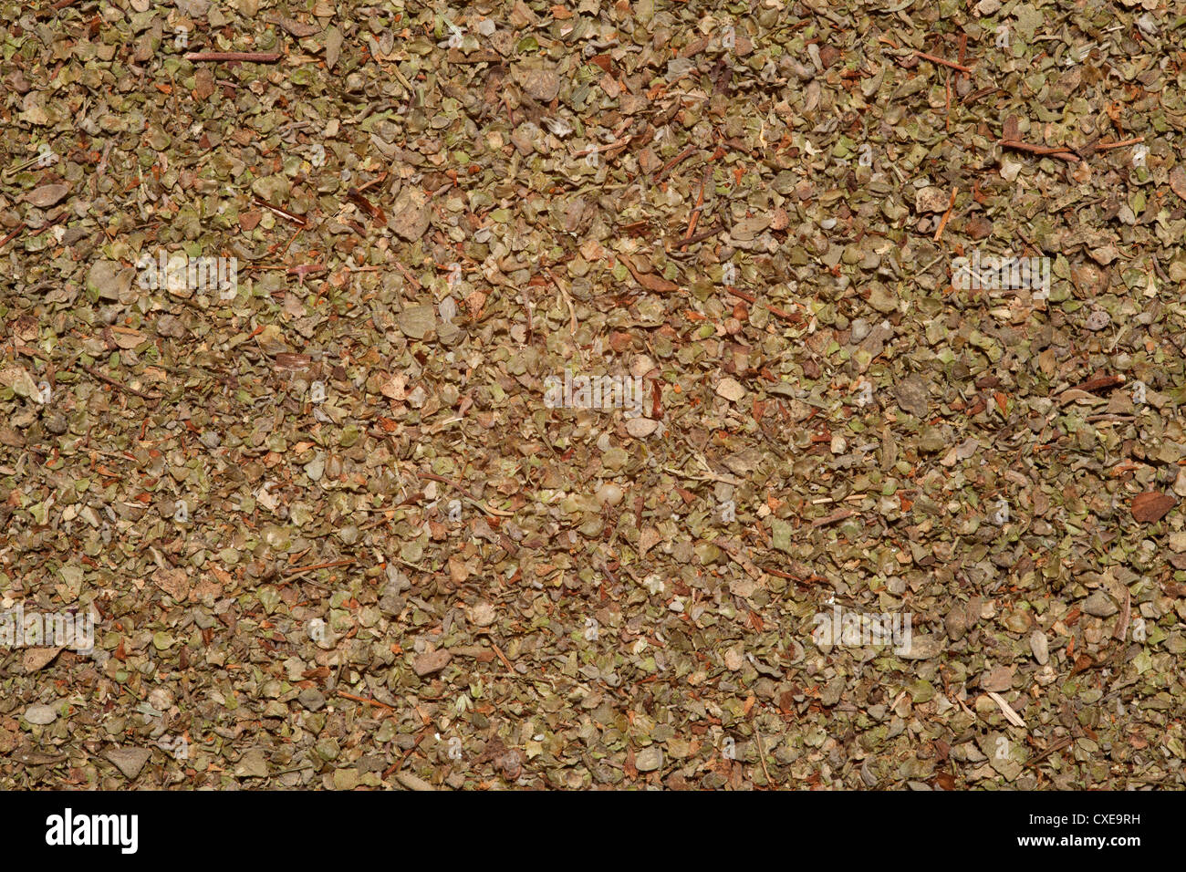 Maggiorana secca di sfondo verde, secco texture a base di erbe Foto Stock