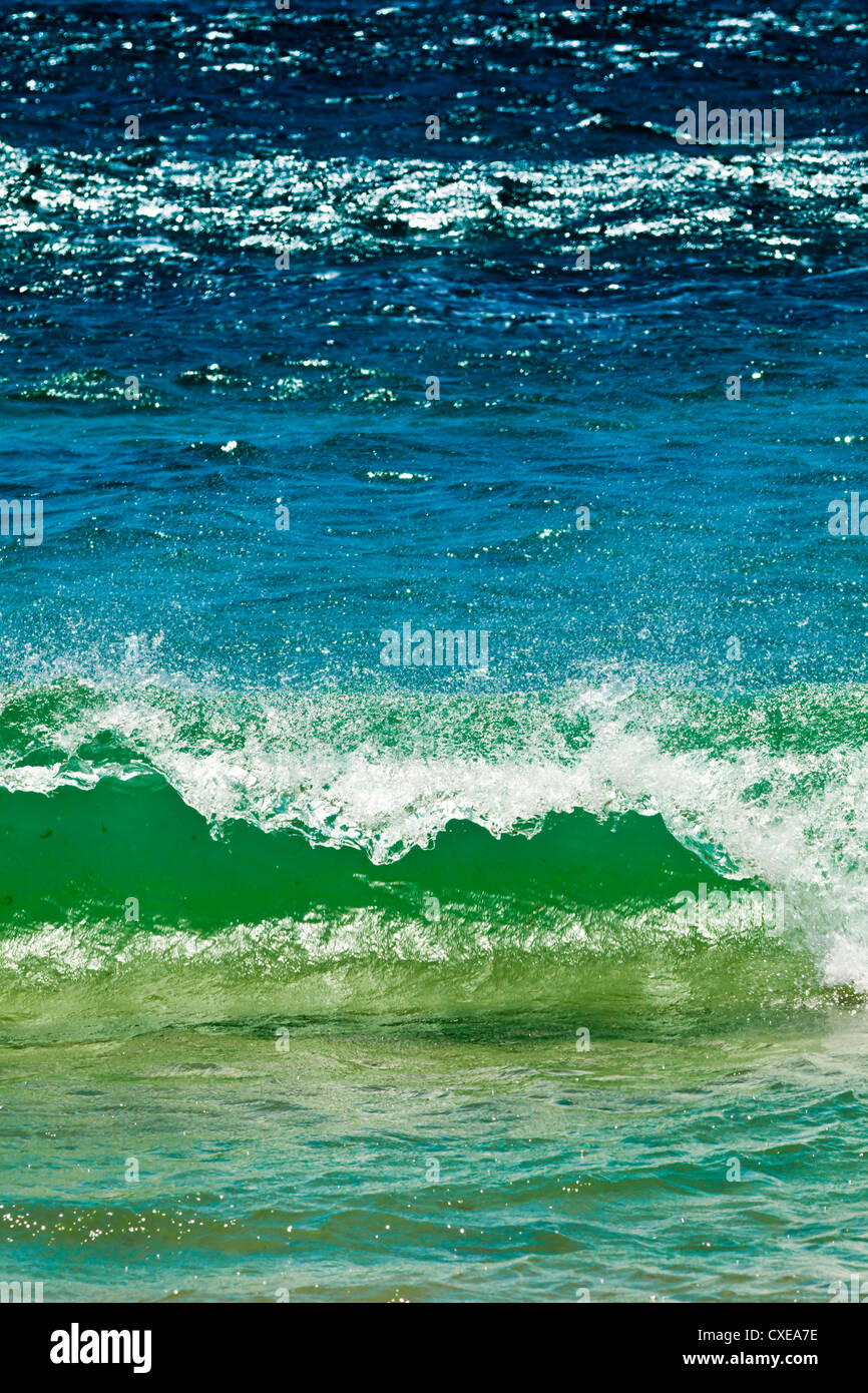 Piccola Onda Verde, stretto di Gibilterra, Spiaggia Los Lances, El Estrecho Parco Nazionale di Tarifa, Costa de la Luz, Andalusia, Spagna Foto Stock