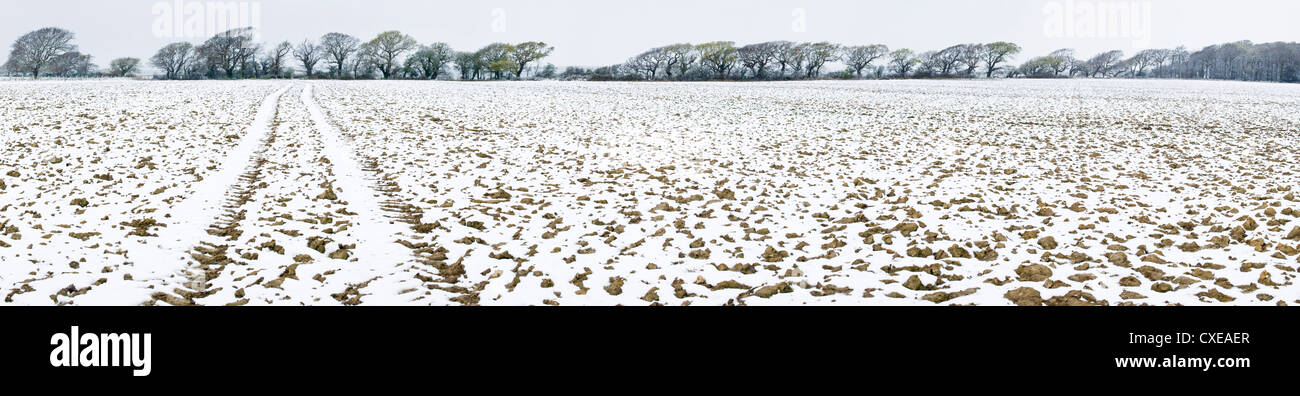 Leggera spolveratura di neve sul campo arato, West Sussex, in Inghilterra, Regno Unito, Europa Foto Stock