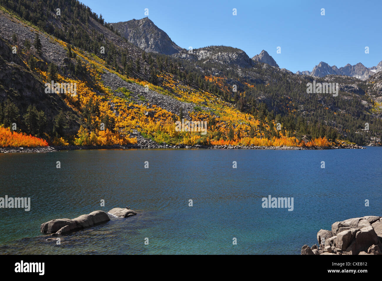 Il pittoresco lago ricco di pesci. Foto Stock