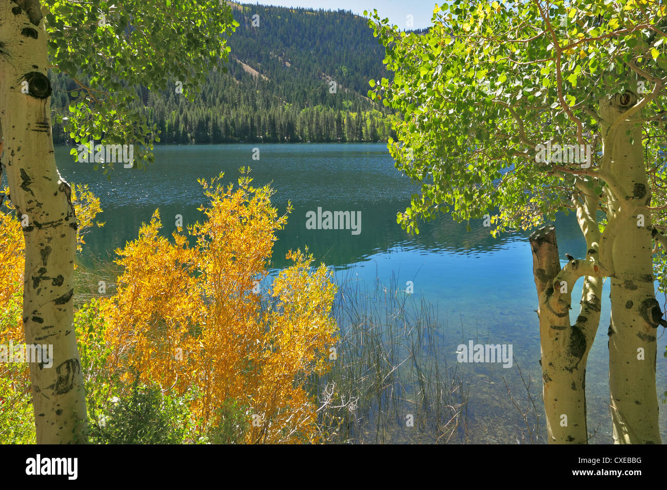 Silent Gulllake. In viaggio attraverso gli Stati Uniti Foto Stock