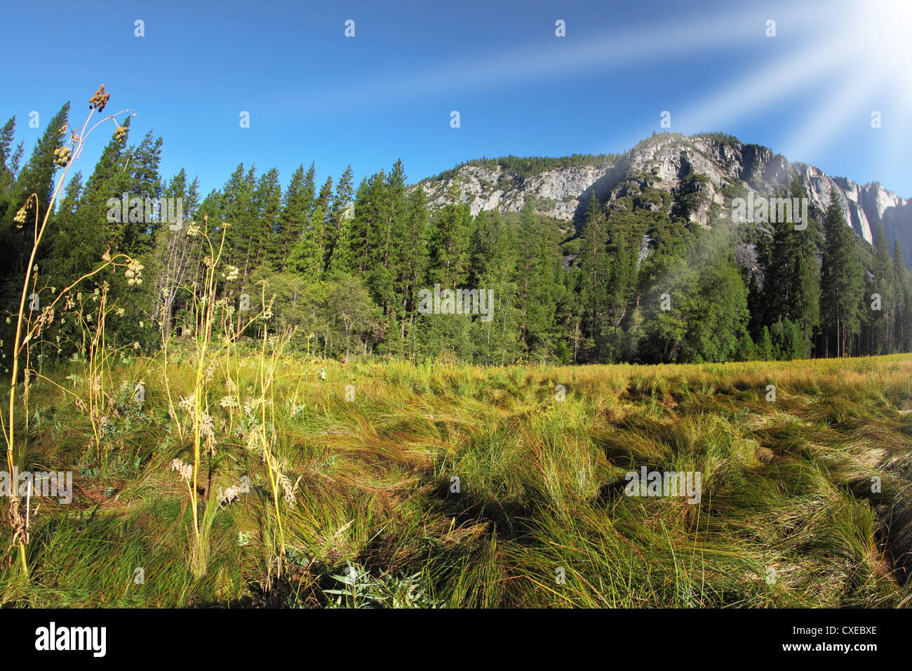 Pittoresco sito nel parco nazionale di Yosemite Foto Stock