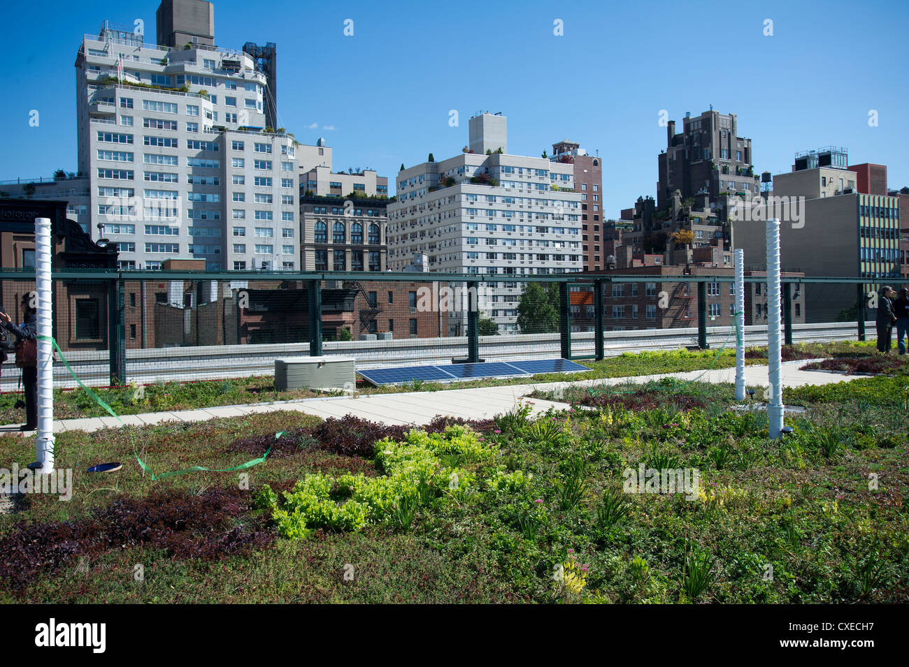 Il tetto verde su una scuola nel villaggio di Greenwich quartiere di New York Foto Stock